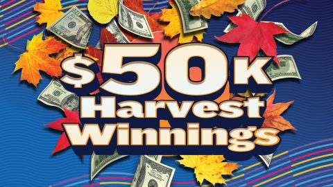 $50K Harvest Winnings